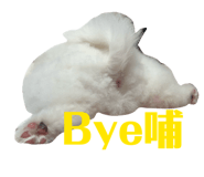 843762086