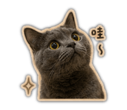 843762116