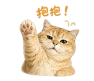 843762226