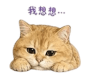 843762243