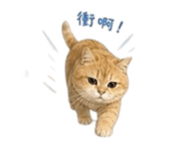 843762250