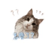 843762985