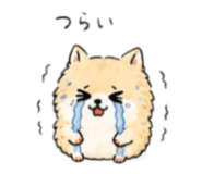 843763607
