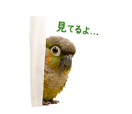 843763768