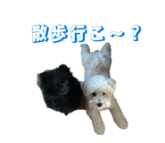 843763961