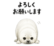 843763973