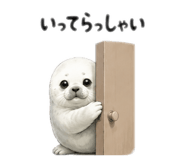 843763976