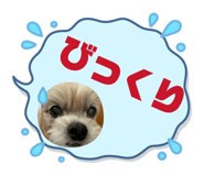 843764382