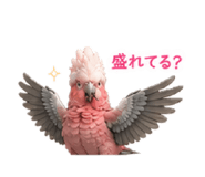 843764550