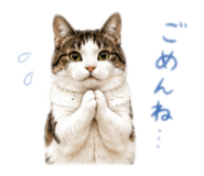843764619