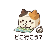 843764638