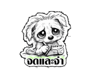 843764663