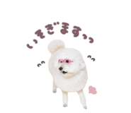 843764691