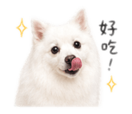 843765152