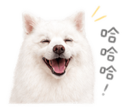 843765156