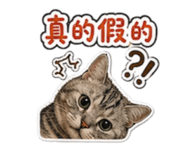 843765428