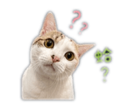 843766200