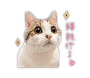 843766207
