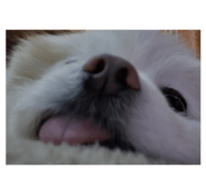 843766859