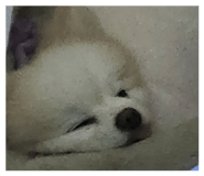 843766861