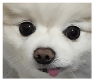 843766864