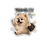 843767011