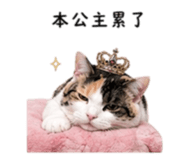 843767065
