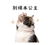 843767074