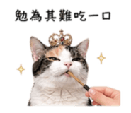 843767078