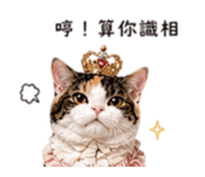 843767080
