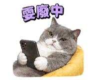 843767218