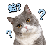843767220