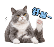 843767245