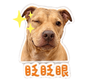 843767389