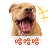 843767390