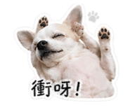 843767412
