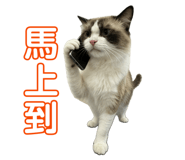 843767743