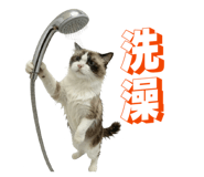 843767751
