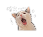 843767855