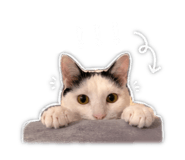 843767857