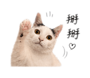 843767862