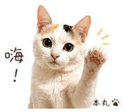 843768030