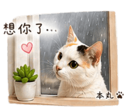843768042