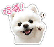 843768049