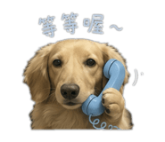 843768117