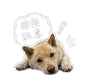 843768627