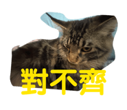 843768725