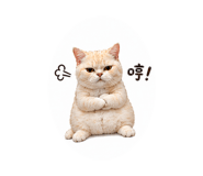 843768898