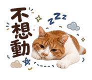 843769332