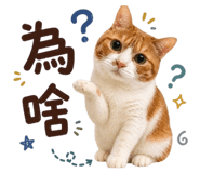 843769333